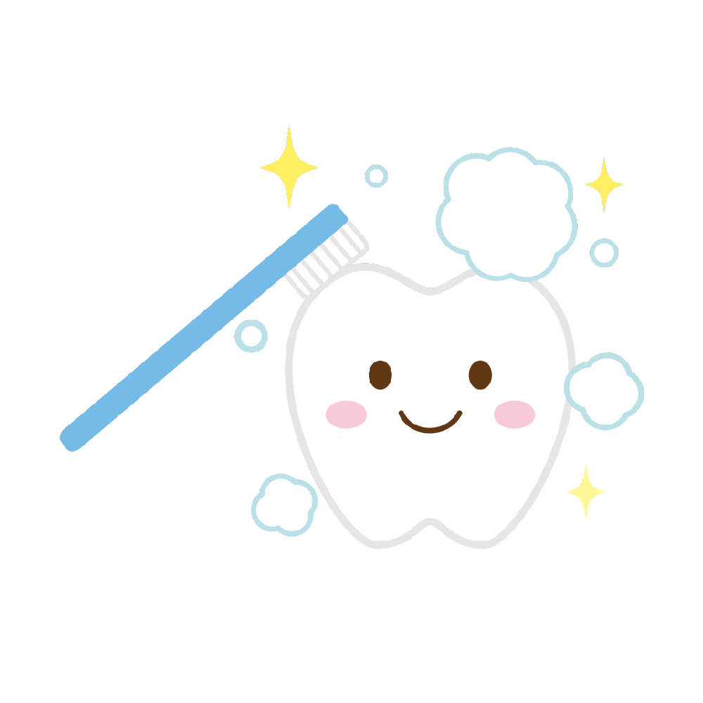 歯のイラスト